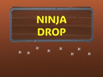 Ninja Drop